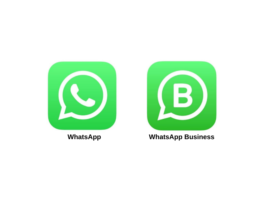 differenza logo tra WhatsApp e WhatsApp Business